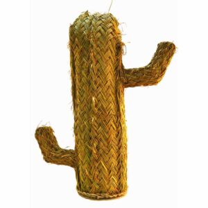 Cactus de esparto (40 cms)