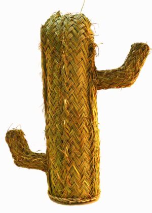 Cactus de esparto (40 cms)