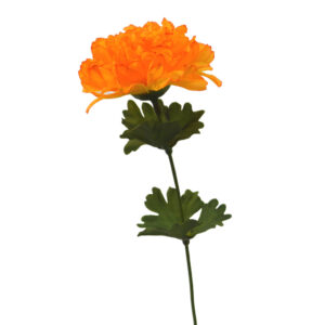 Crisantemo naranja