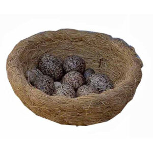 Bolsa 20 huevos grandes de codorniz