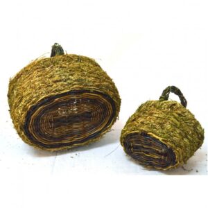 Set de 2 cestas ovaladas de musgo