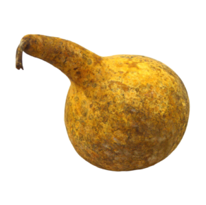 Calabaza seca natural (formas surtidas)