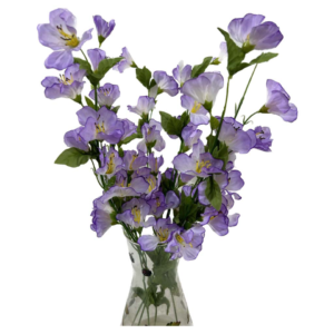 Azalea malva