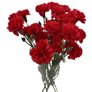 Clavel rojo doble