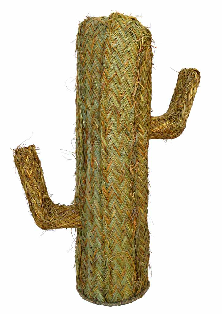 Cactus de esparto