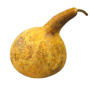 Calabaza seca natural (formas surtidas)