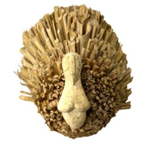Pavo de anea