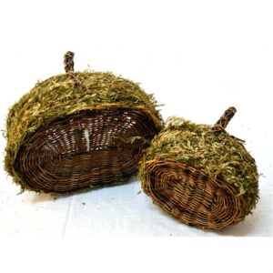Set de 2 cestas ovaladas de  musgo