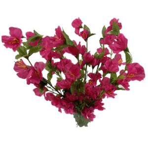 Azalea fucsia