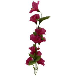 Azalea fucsia
