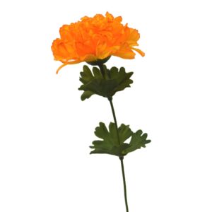 Crisantemo naranja
