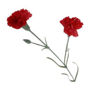 Clavel rojo doble