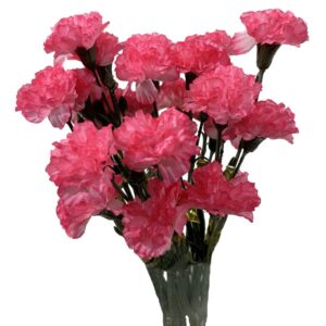 Clavel doble rosa