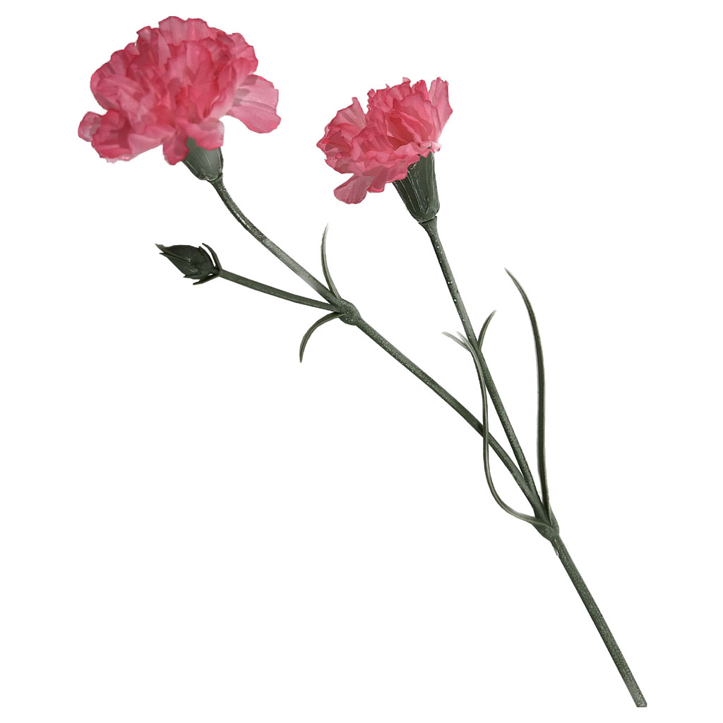 8281-Rosa detalle