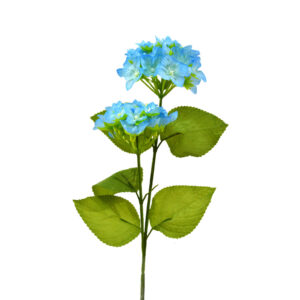 Hortensia azul doble