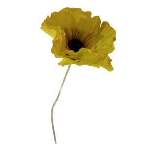 Amapola amarilla