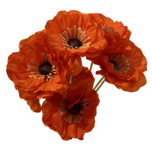 Amapola naranja
