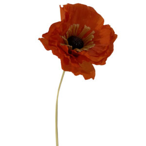 Amapola naranja
