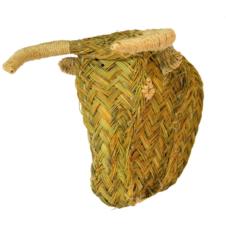 Cabeza de toro esparto