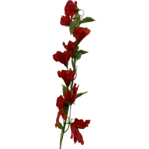 Azalea roja