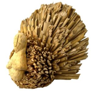 Pavo de anea